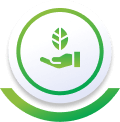 Dinh Huong Icon4