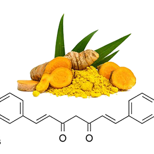 Nano Curcumin Nghe